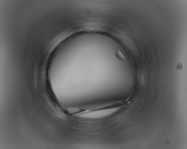 X0000093520488200710121548