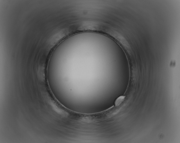 X0000093520489200710121548