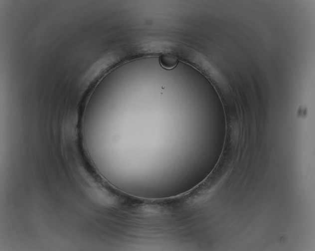 X0000093520490200710121548