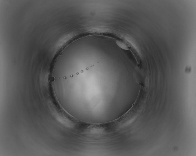 X0000093520491200710121548