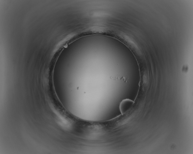 X0000093520492200710121548
