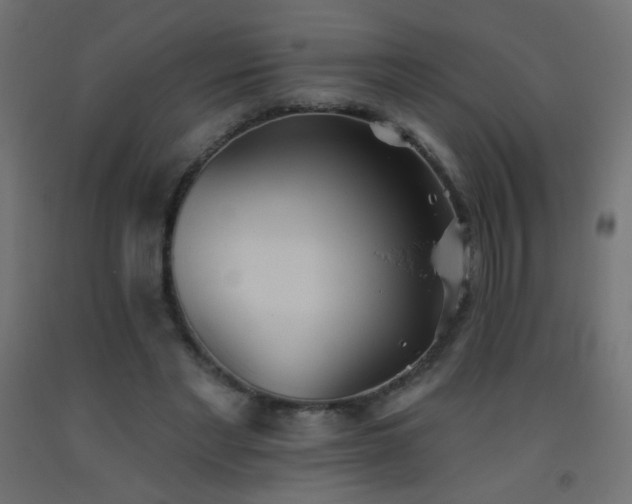 X0000093520493200710121547