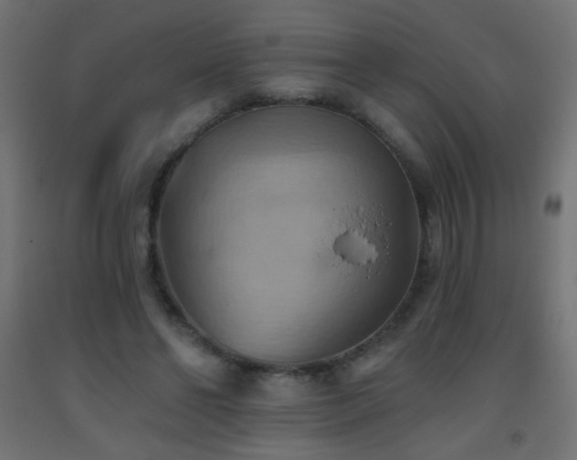 X0000093520494200710121547