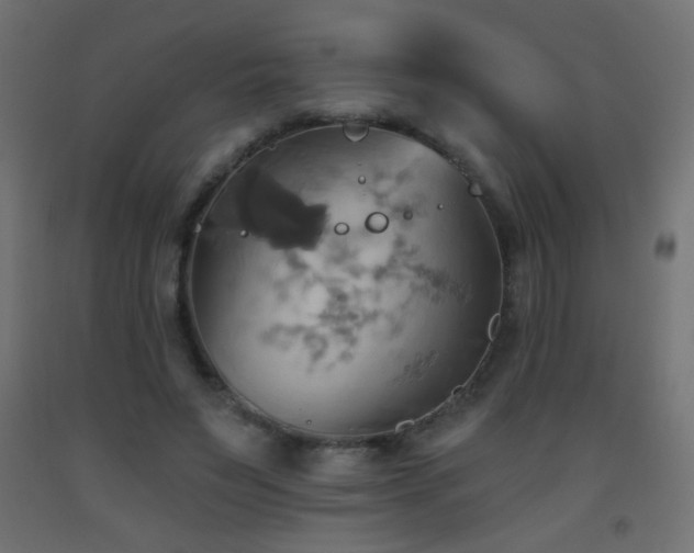 X0000093520495200710121547