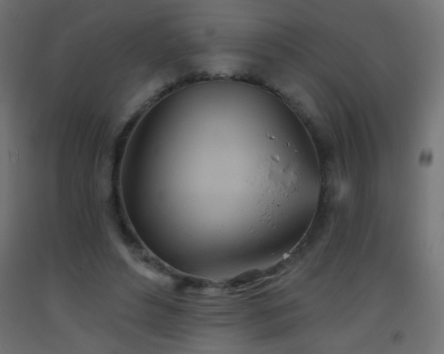 X0000093520496200710121547