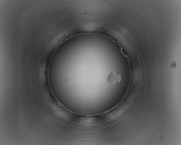 X0000093520497200710121547