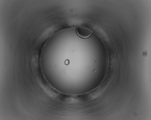 X0000093520498200710121547