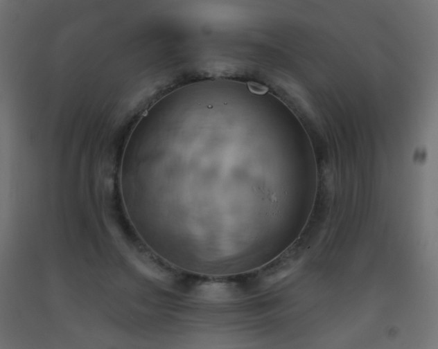 X0000093520499200710121547