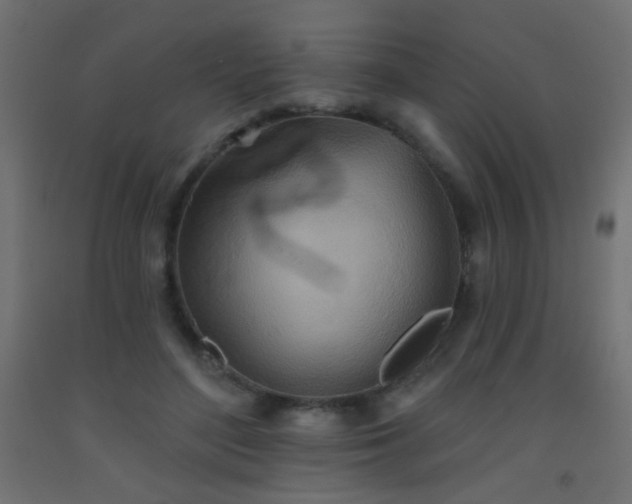 X0000093520500200710121547