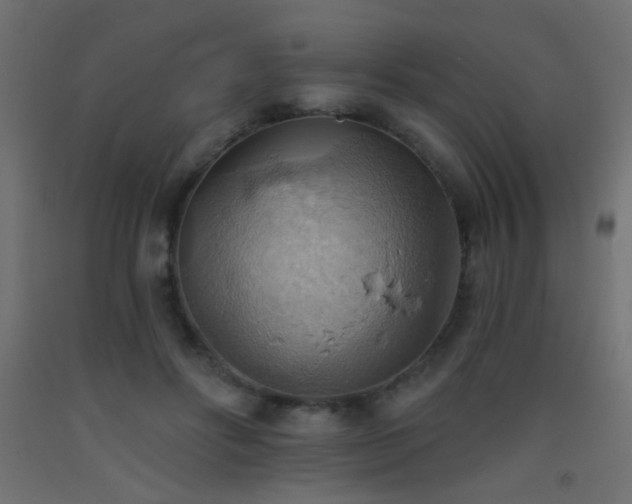 X0000093520502200710121547