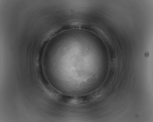 X0000093520504200710121547