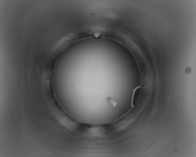 X0000093520505200710121547