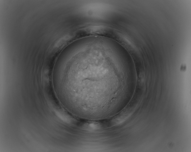X0000093520506200710121547