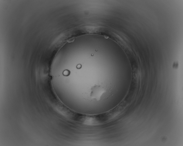 X0000093520507200710121547