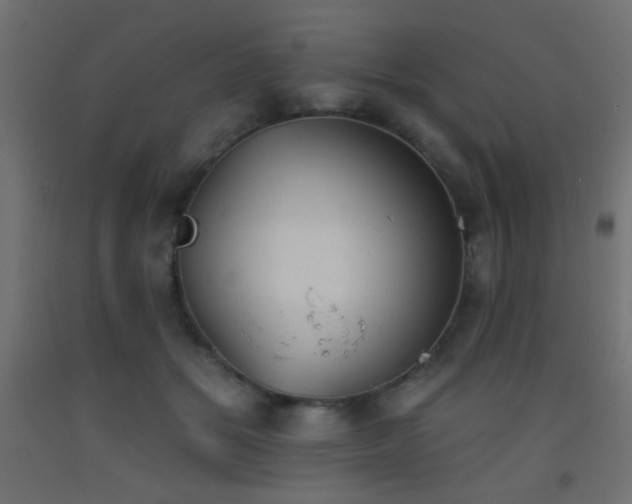 X0000093520509200710121547