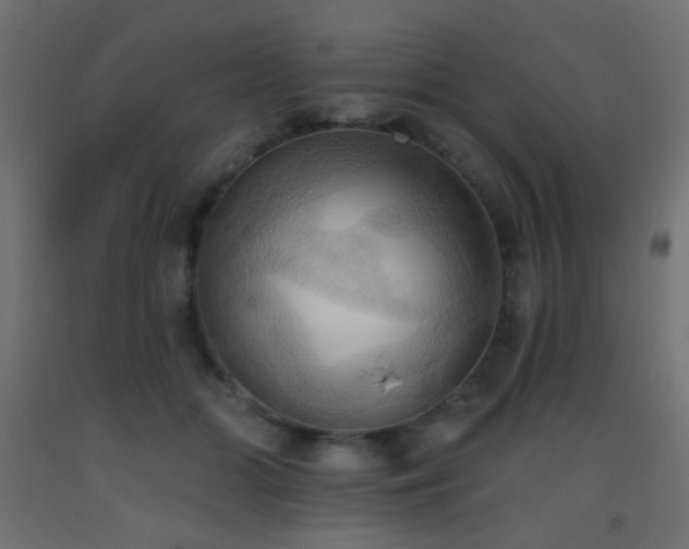 X0000093520510200710121547