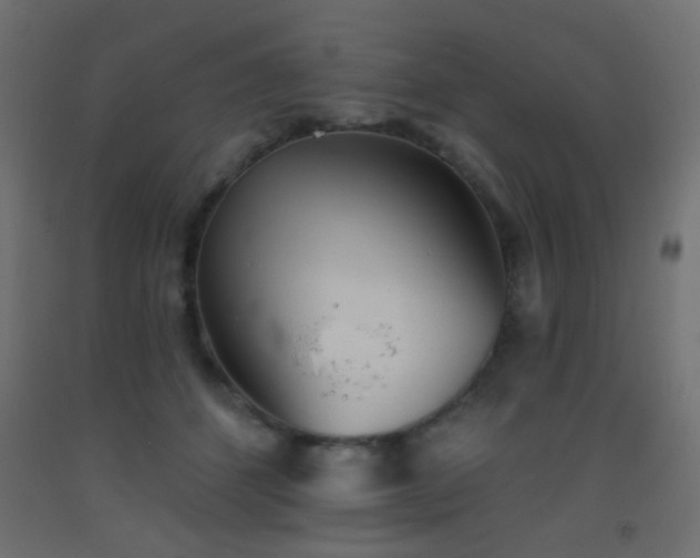 X0000093520512200710121547