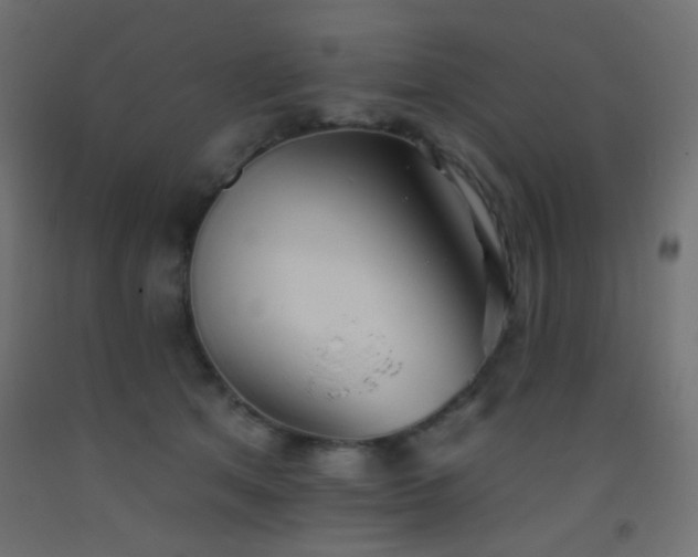 X0000093520513200710121547