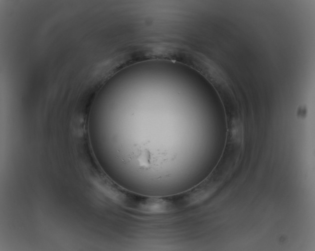 X0000093520514200710121547