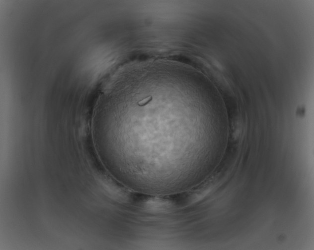 X0000093520515200710121547