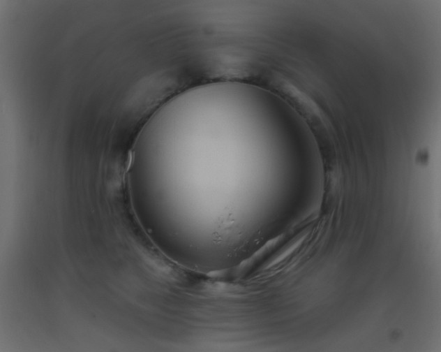 X0000093520517200710121547