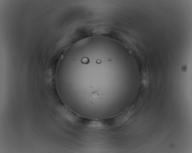 X0000093520519200710121547