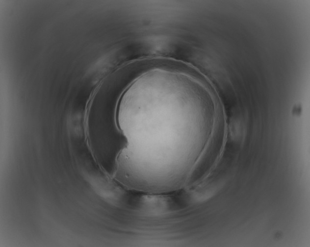 X0000093520520200710121547