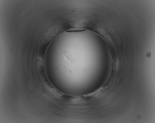 X0000093520521200710121547