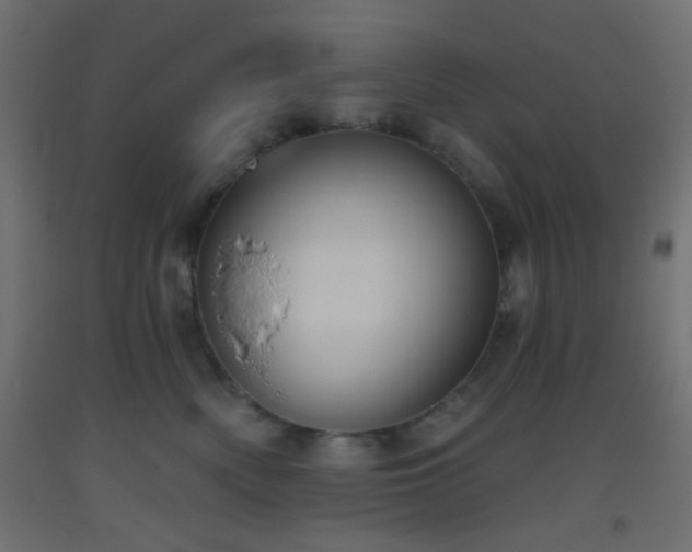 X0000093520522200710121547