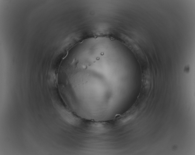 X0000093520523200710121547