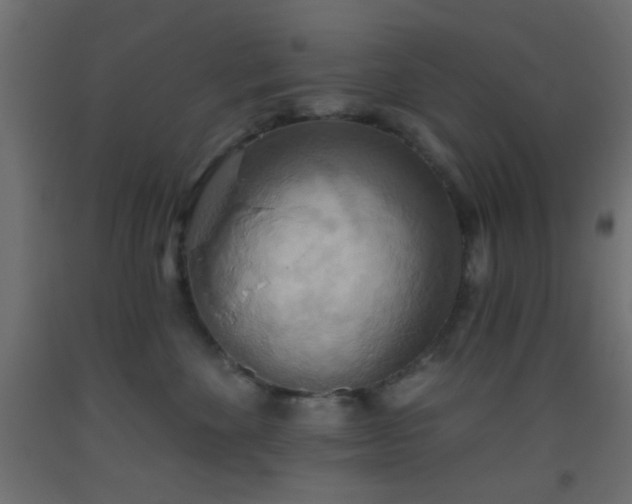 X0000093520524200710121547
