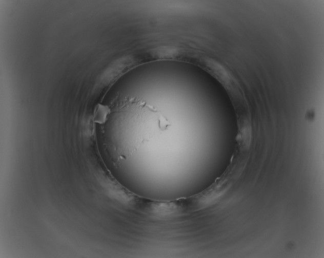 X0000093520525200710121547