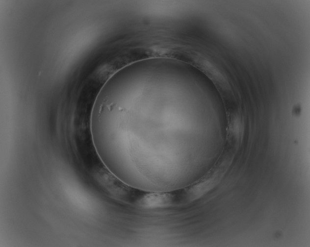 X0000093520526200710121547