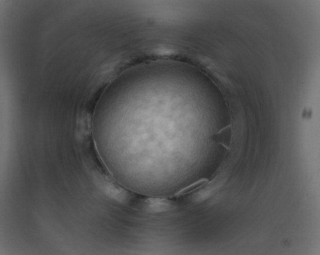 X0000093520528200710121547