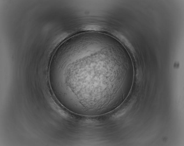 X0000093520529200710121546