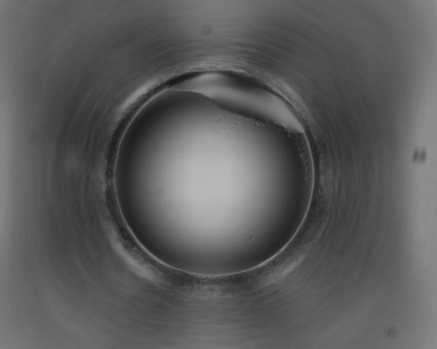 X0000093520530200710121546