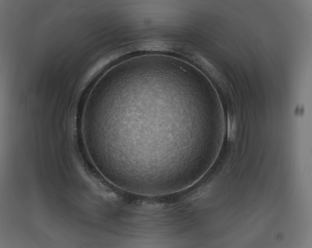 X0000093520531200710121546