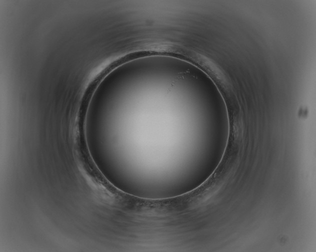 X0000093520532200710121547