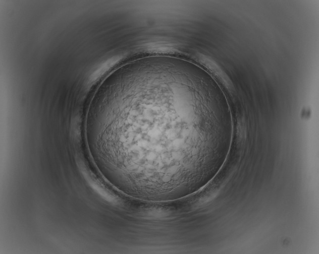 X0000093520533200710121547