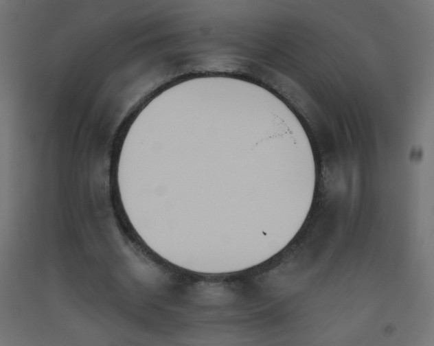 X0000093520534200710121547