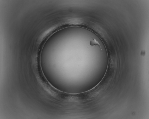 X0000093520535200710121547