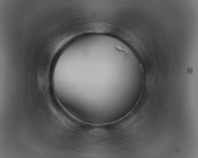 X0000093520536200710121547