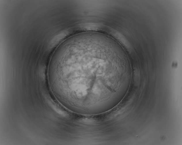 X0000093520537200710121547