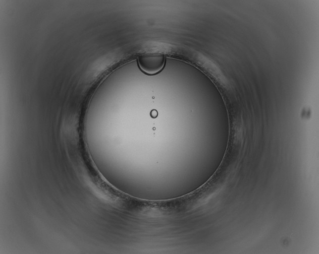X0000093520538200710121547
