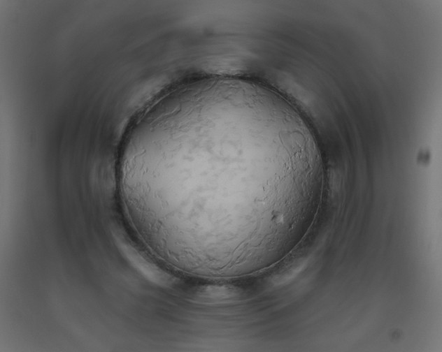 X0000093520541200710121547