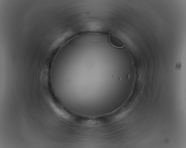 X0000093520542200710121547