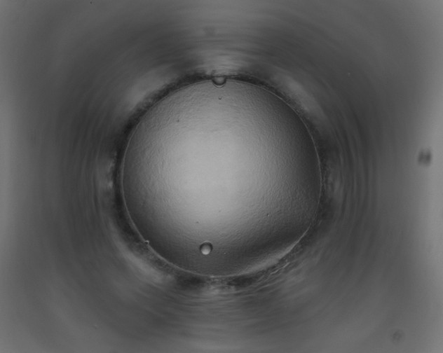 X0000093520543200710121547