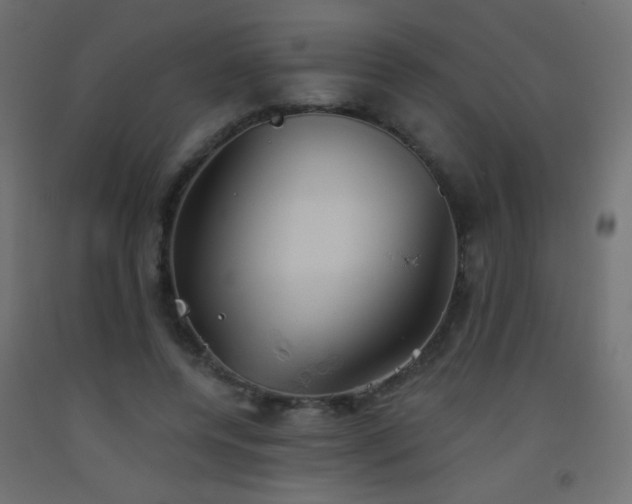 X0000093520544200710121547