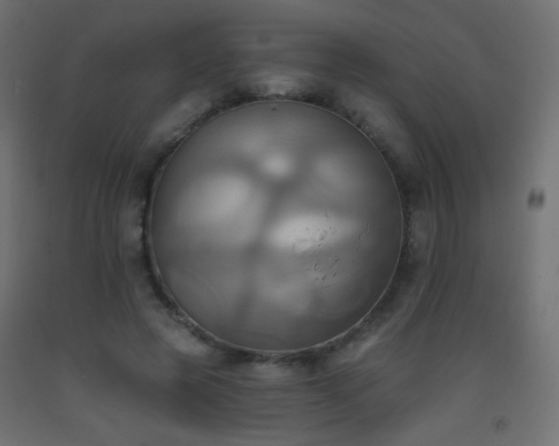 X0000093520545200710121547