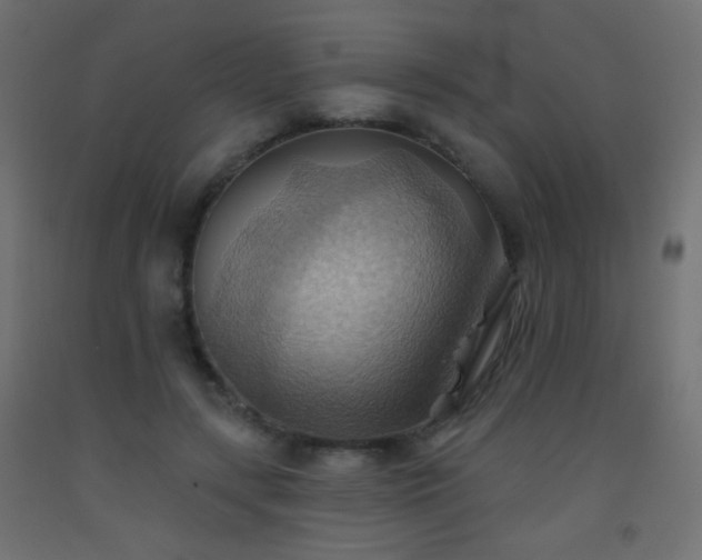 X0000093520547200710121547